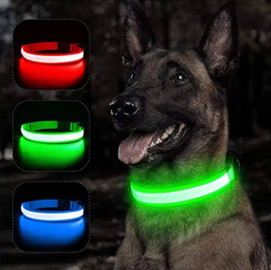 Led Light-Up Dog Collar