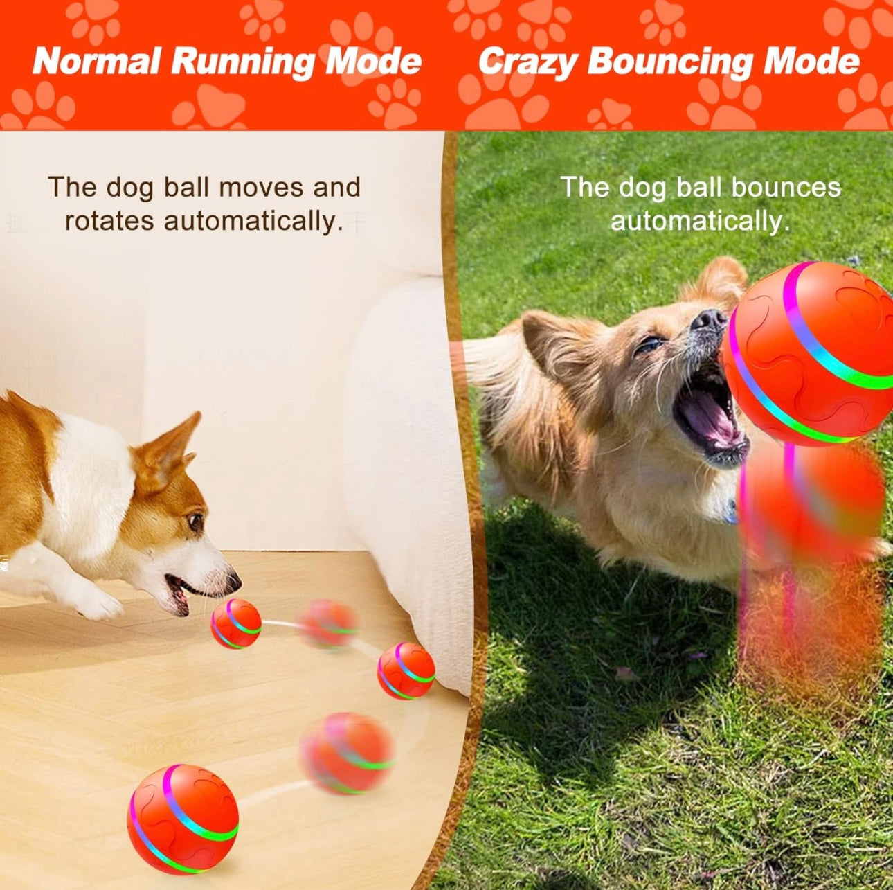 Interactive Remote Dog Ball