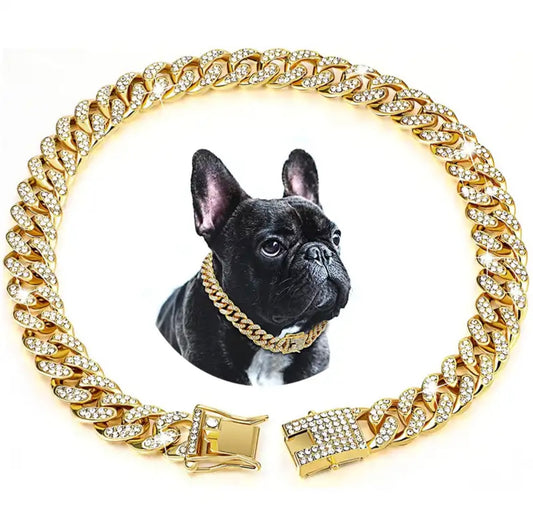 Luxury Gold dog Chain Color