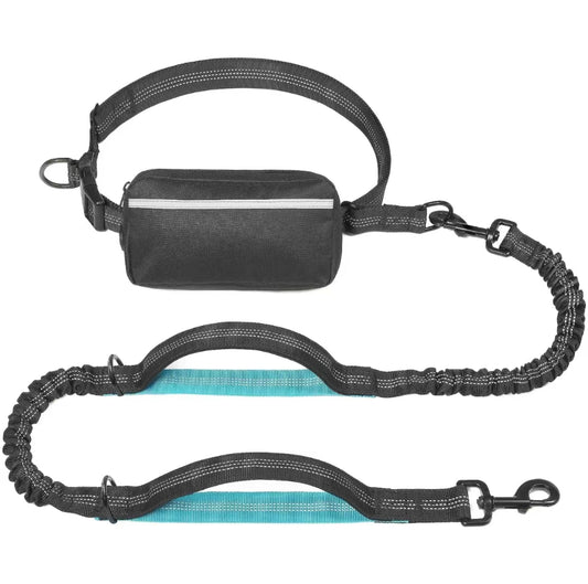 Hands-Free Adjustable Dog Leash with Pouch Bag