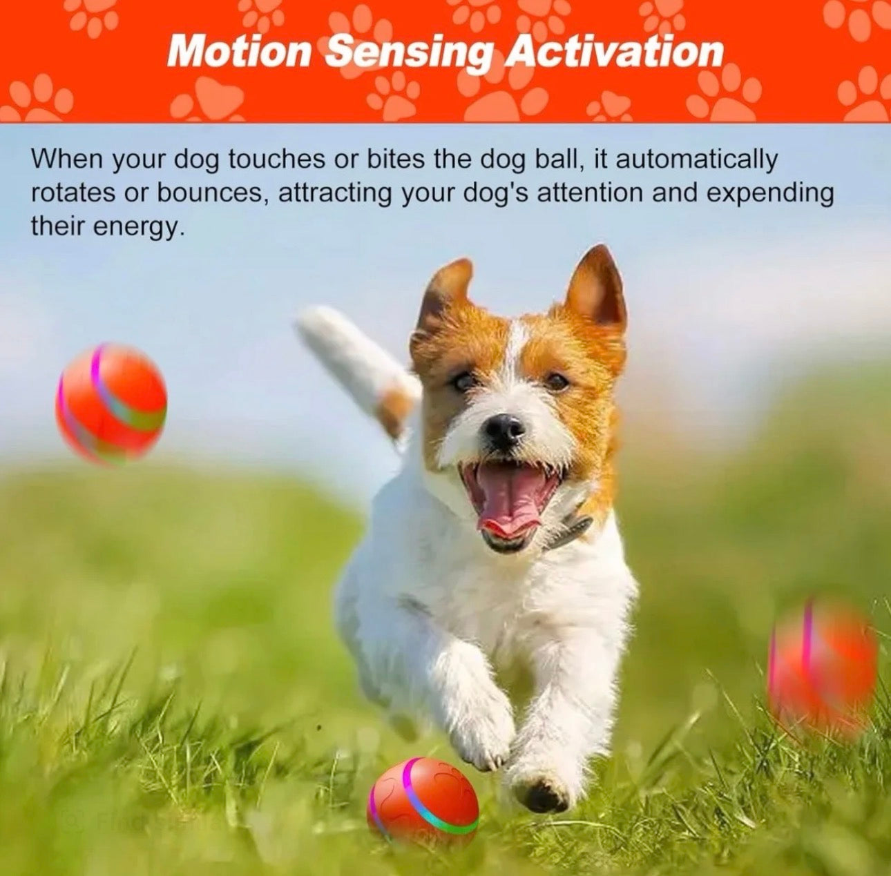 BarkyCare™ Smart LED Pet Ball