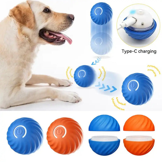 Small Interactive Dog Ball